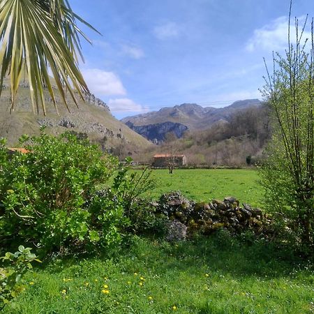 Amplia Y Comoda Casa De Piedra Con Porche Y Jardin San Roque de Ríomiera Exteriér fotografie