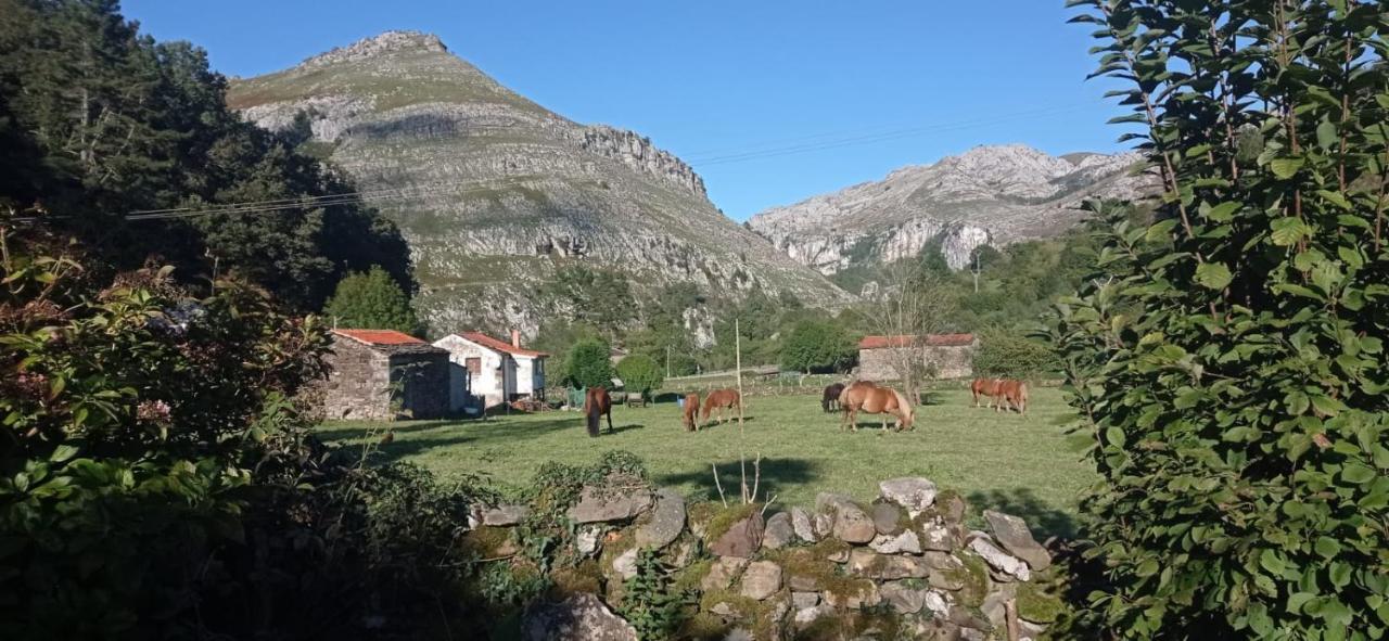 Amplia Y Comoda Casa De Piedra Con Porche Y Jardin San Roque de Ríomiera Exteriér fotografie