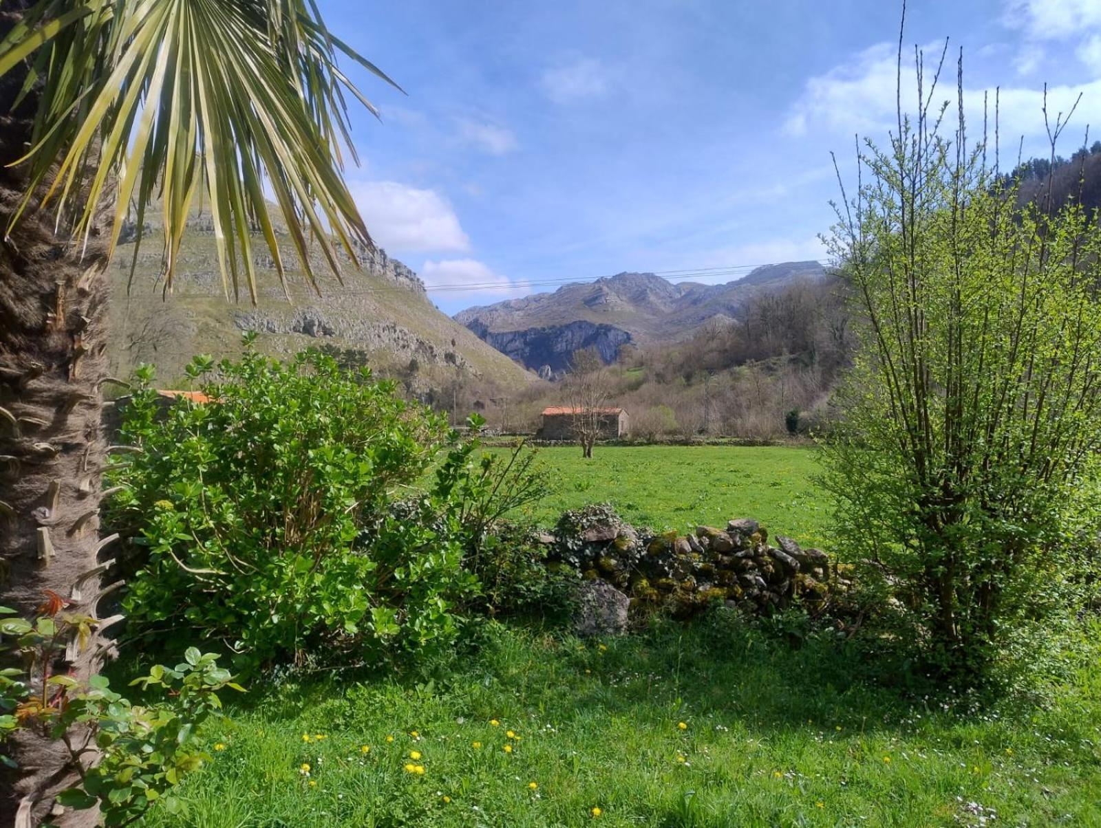 Amplia Y Comoda Casa De Piedra Con Porche Y Jardin San Roque de Ríomiera Exteriér fotografie